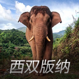 2射1传！邓弗里斯当选欧冠本周最佳球员